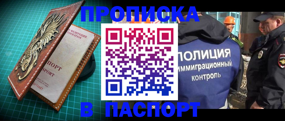 где прописаться в Пионерском